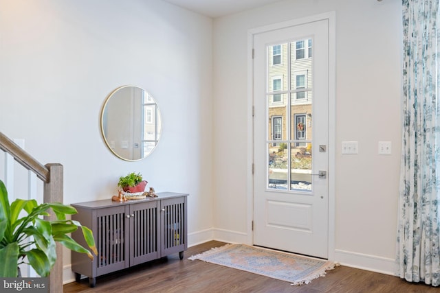 foyer entrance featuring dark wood-type flooring