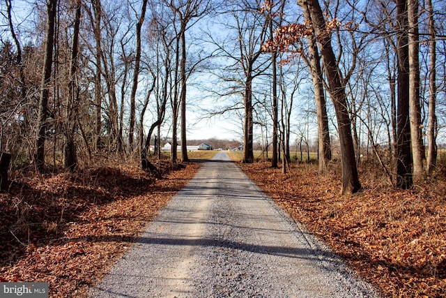 view of road