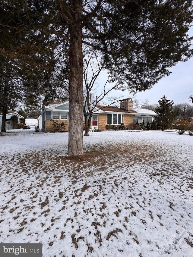 view of yard covered in snow