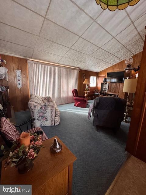 living room featuring carpet floors and wooden walls