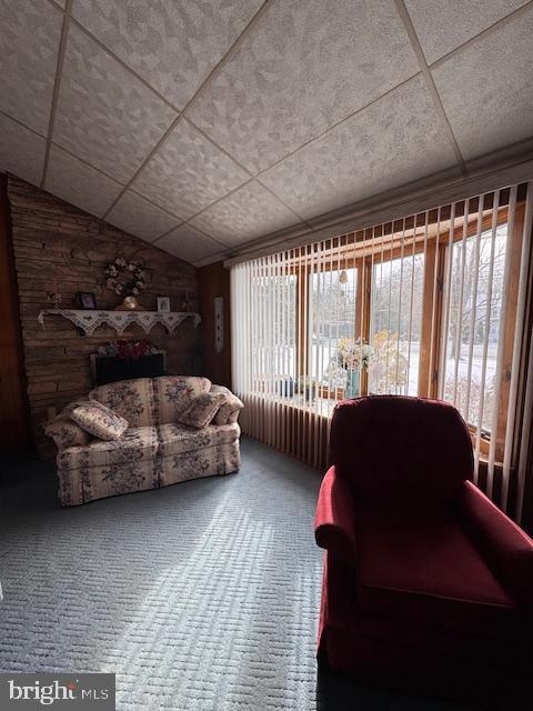 carpeted living room with a healthy amount of sunlight and vaulted ceiling