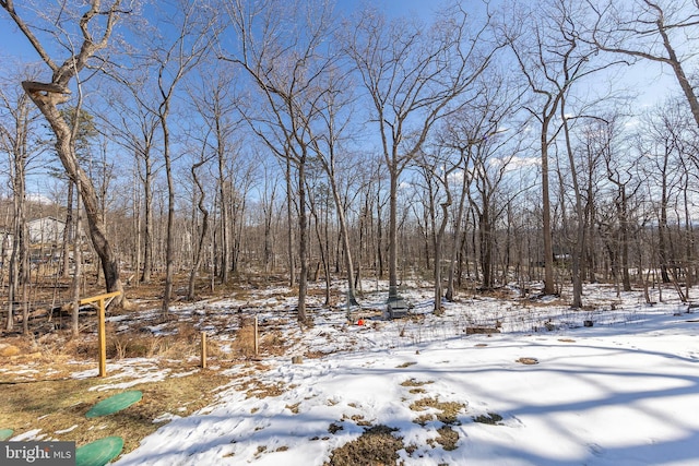 view of yard covered in snow