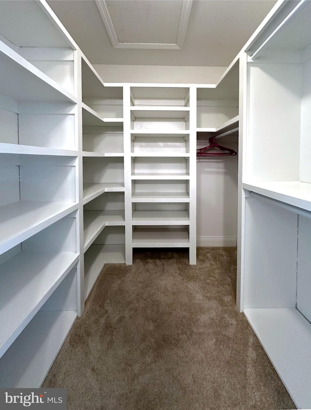 spacious closet featuring dark colored carpet