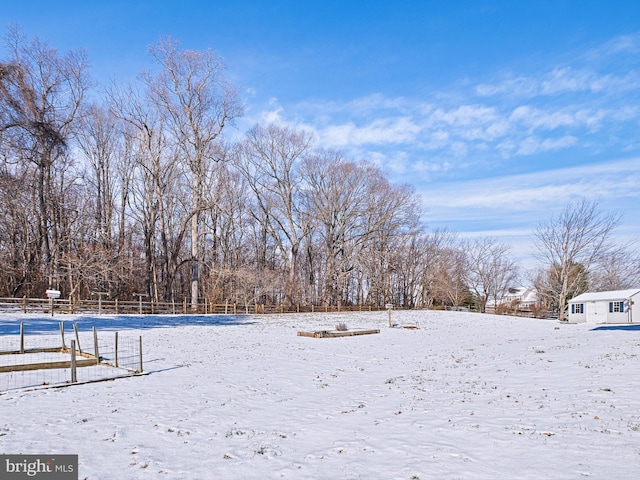 view of snowy yard