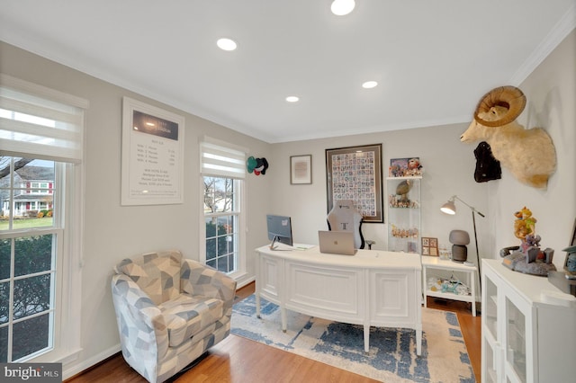 office with hardwood / wood-style floors, crown molding, and plenty of natural light