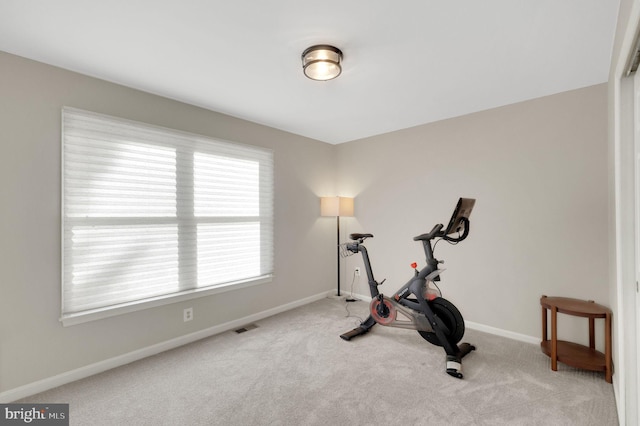 exercise room featuring carpet floors