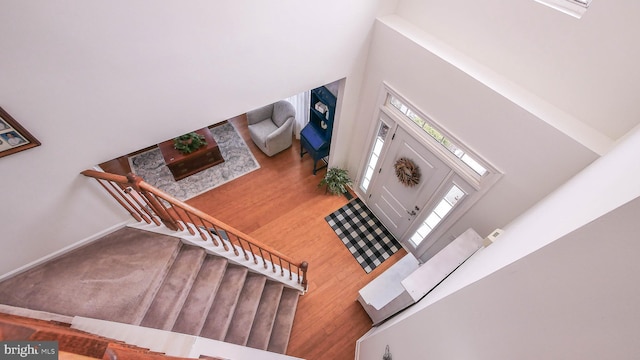 foyer entrance with a towering ceiling