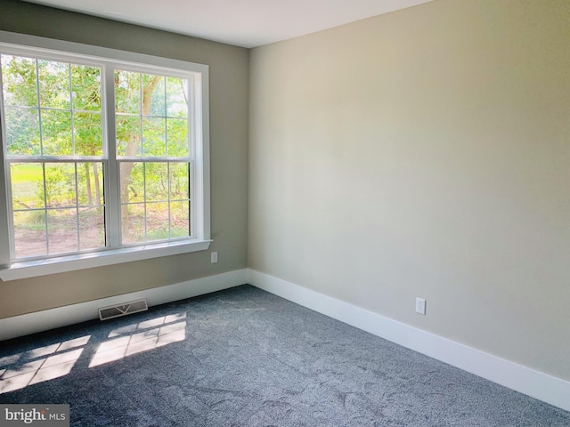 unfurnished room with carpet floors