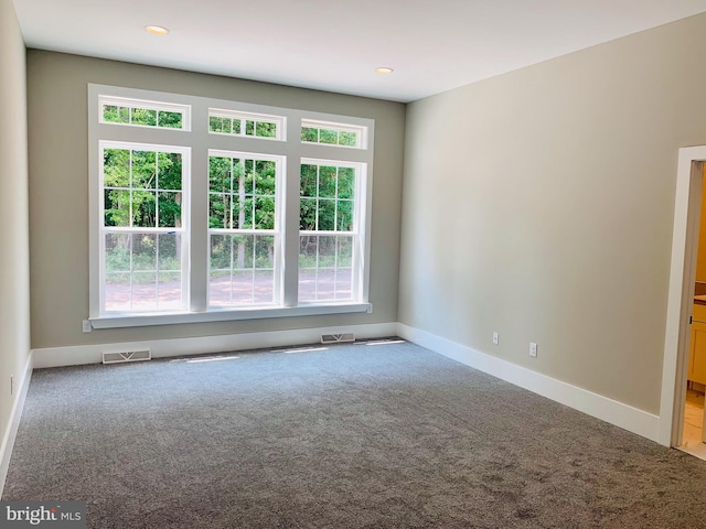 empty room featuring carpet and a healthy amount of sunlight