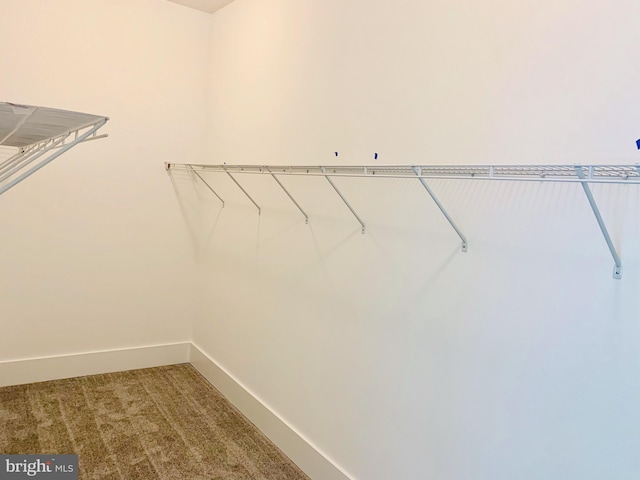 walk in closet with carpet