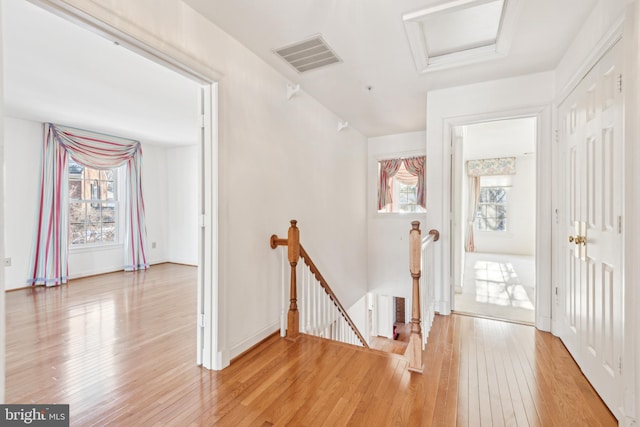 hallway featuring hardwood / wood-style floors