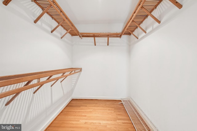 spacious closet with wood-type flooring