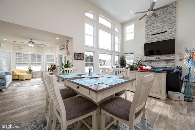 dining room with ceiling fan, a towering ceiling, and light wood-type flooring