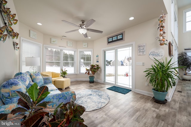 living room with ceiling fan and wood-type flooring