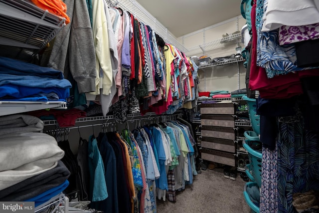 spacious closet with carpet