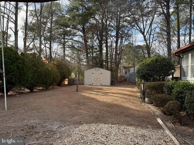 view of yard featuring a shed