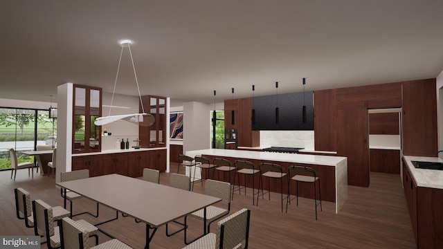 dining space featuring sink and dark hardwood / wood-style flooring