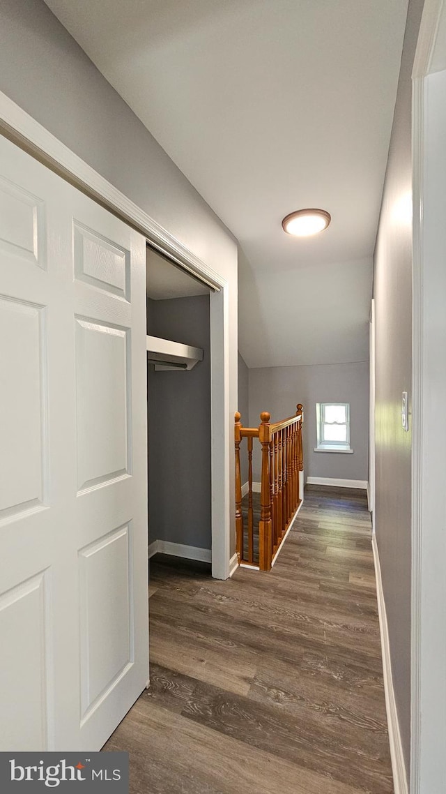 hallway featuring dark wood-type flooring and lofted ceiling