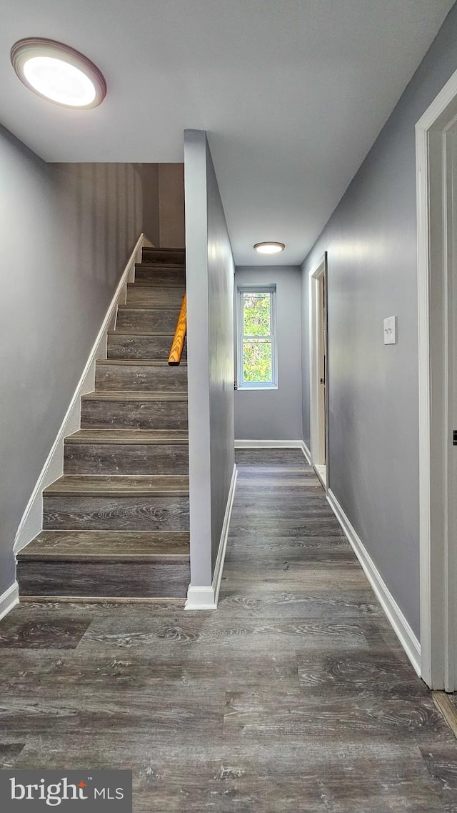 staircase with hardwood / wood-style floors