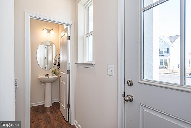 entryway featuring dark wood-type flooring and a healthy amount of sunlight