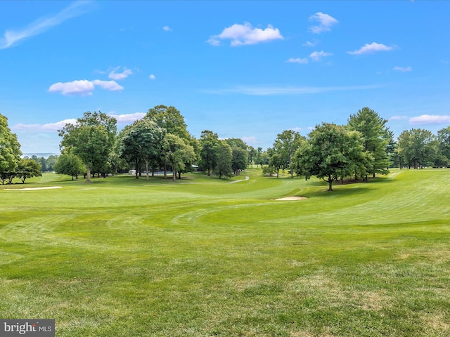 view of property's community featuring a lawn