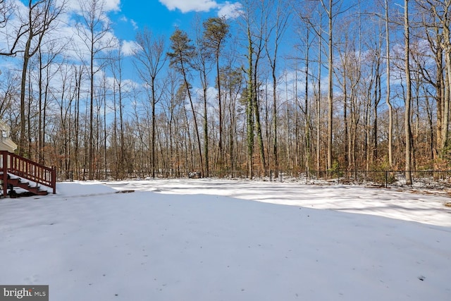 view of snowy yard