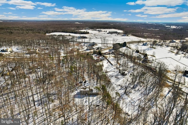 view of snowy aerial view