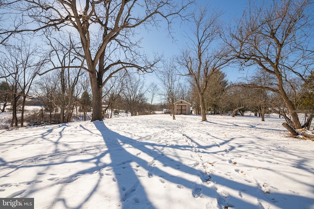 view of yard covered in snow