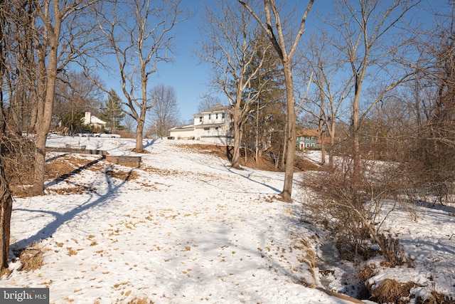 view of yard covered in snow