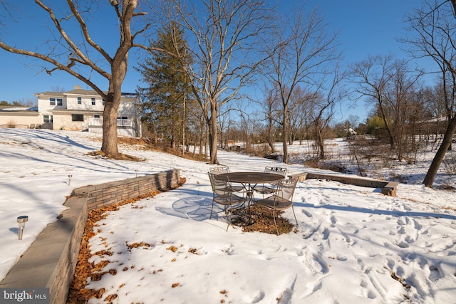 view of yard covered in snow