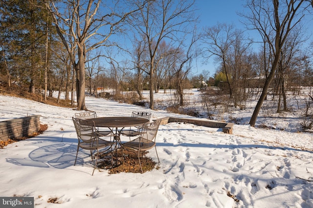 view of snowy yard