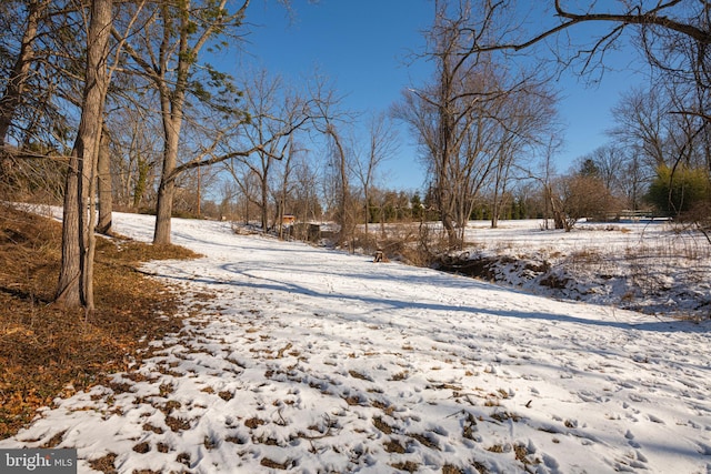 view of snowy yard