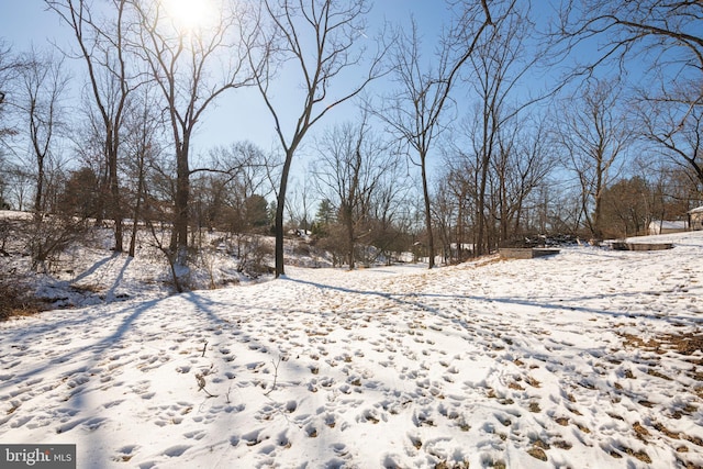 view of yard covered in snow