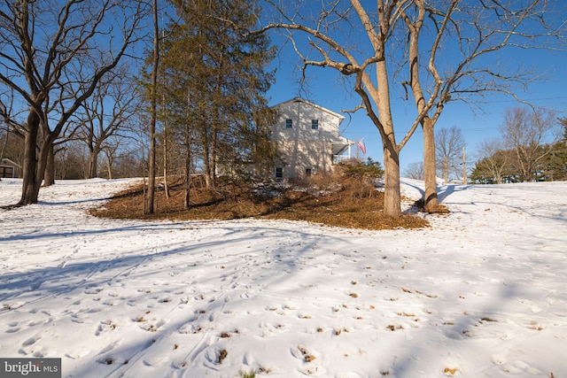 view of yard covered in snow