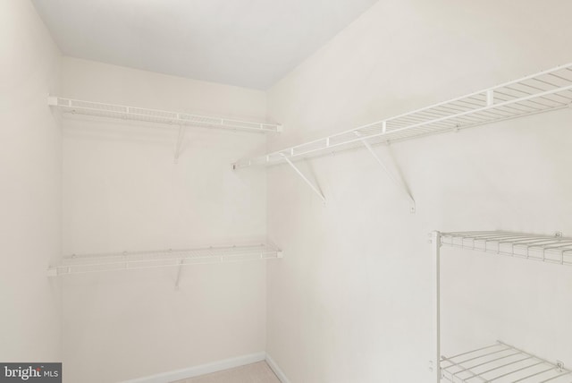 view of walk in closet