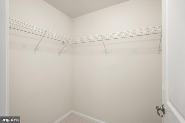 view of spacious closet