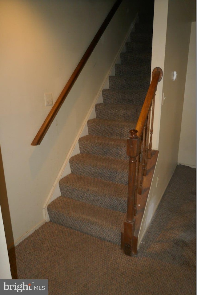 stairs with carpet flooring