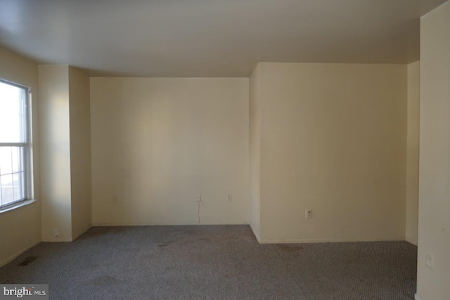 empty room featuring carpet floors and plenty of natural light