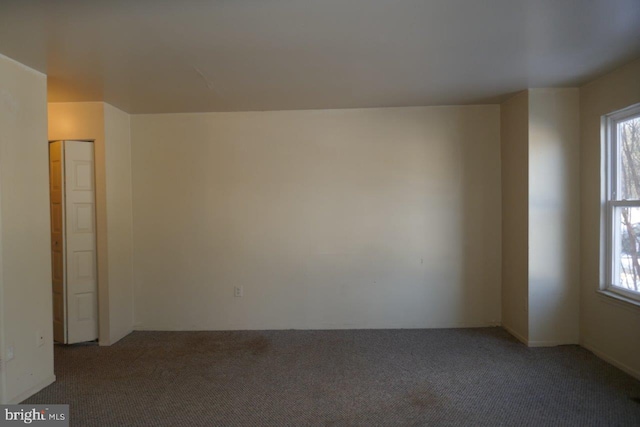 empty room featuring carpet floors and plenty of natural light