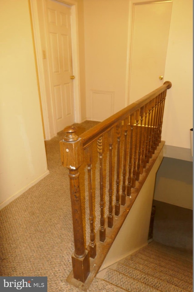 staircase with carpet