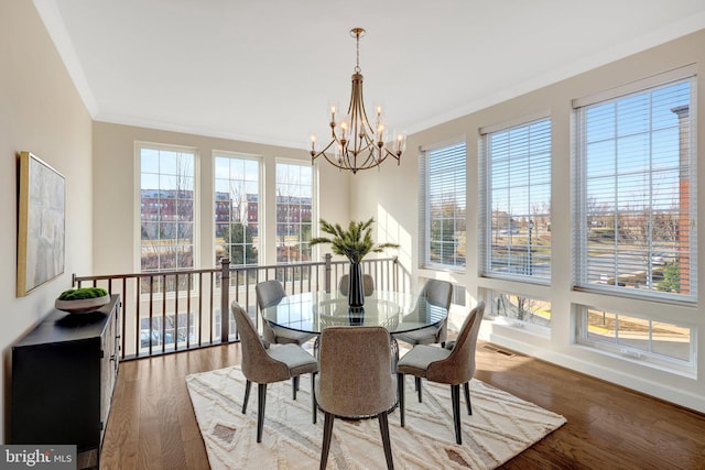 dining room with a chandelier, plenty of natural light, wood finished floors, and crown molding