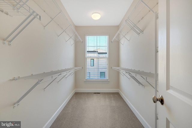 walk in closet with carpet