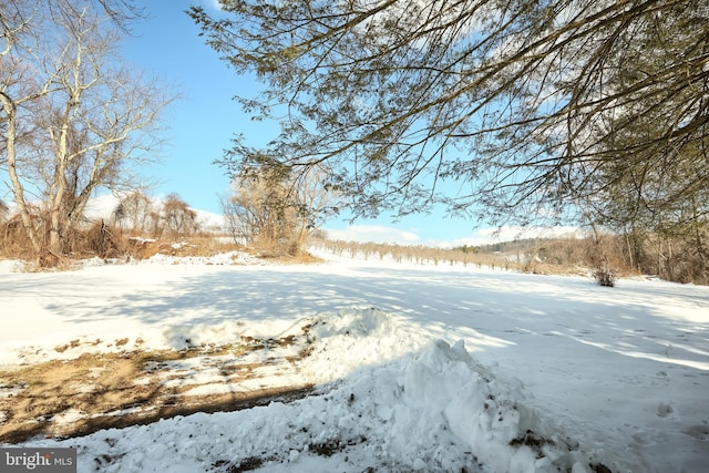 view of yard covered in snow