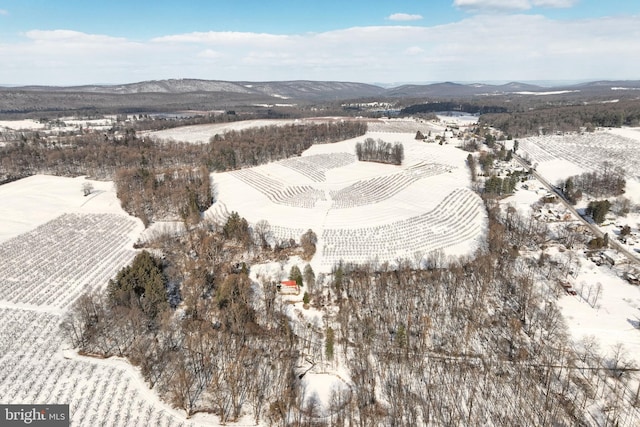 snowy aerial view featuring a mountain view