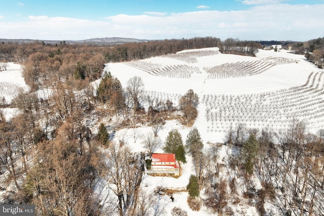 view of snowy aerial view