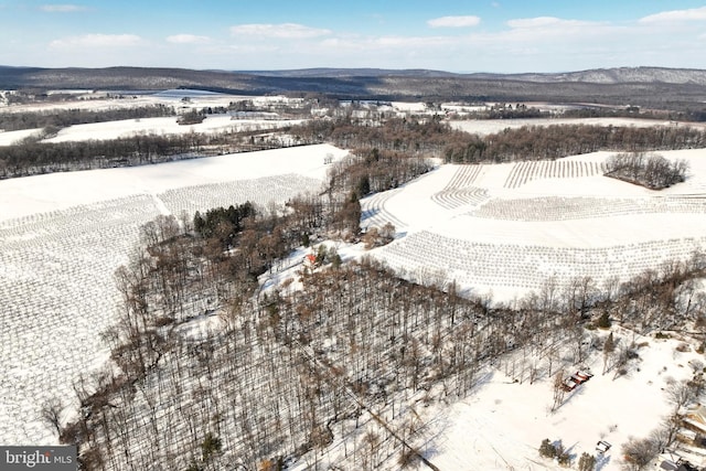 snowy aerial view featuring a mountain view