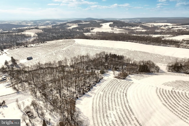 view of snowy aerial view