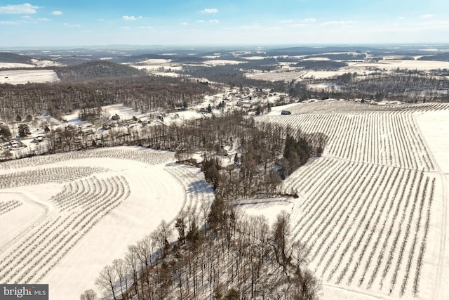 view of snowy aerial view