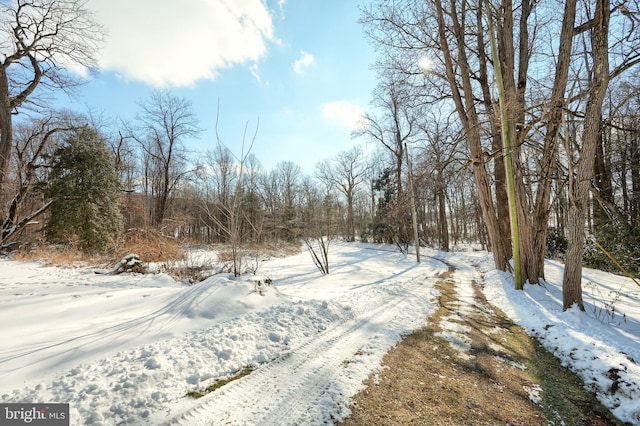 view of yard covered in snow