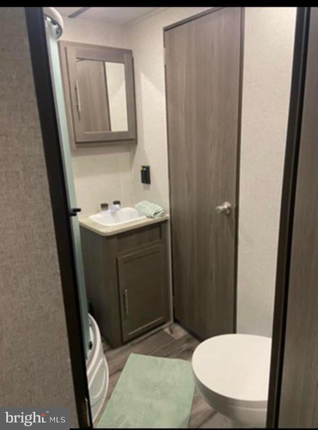 bathroom featuring wood-type flooring and vanity